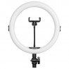 Ring Light Ricondizionato - AgfaPhoto Realiview ARL11 - Adattatore per smartphone